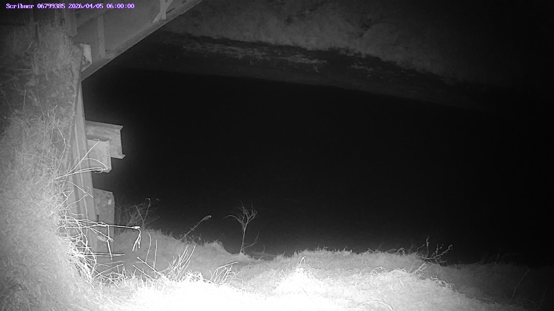 Streamgage camera at station 06799385