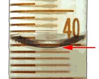 Illustration showing how to read the base of the meniscus in a rain gauge.